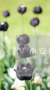 南安农商银行逾期不还款公告 南安农商银行逾期不还款公告