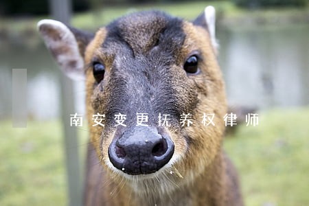 南安变更抚养权律师