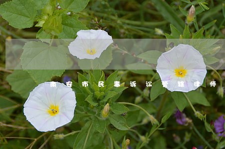 南安市民事诉讼管辖律师 南安市民事诉讼管辖律师