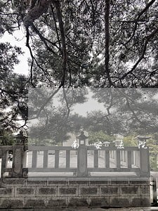 南安法院曾缘 南安法院曾缘