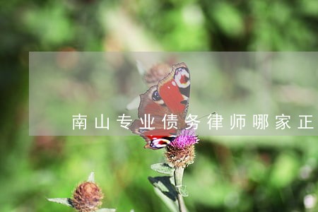 南山专业债务律师哪家正规