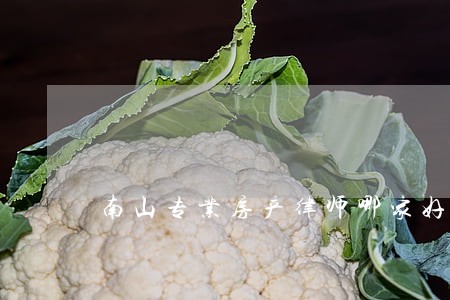 南山专业房产律师哪家好