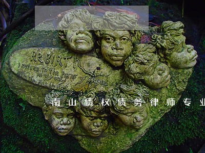 南山债权债务律师专业咨询 南山债权债务律师专业咨询
