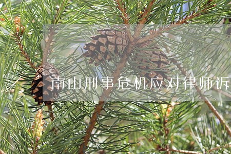 南山刑事危机应对律师诉讼代理 南山刑事危机应对律师诉讼代理