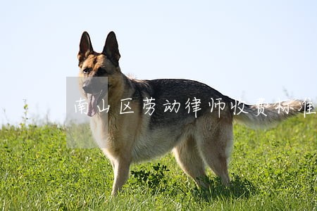 南山区劳动律师收费标准 南山区劳动律师收费标准