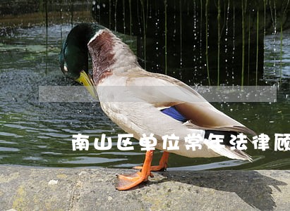 南山区单位常年法律顾问 南山区单位常年法律顾问