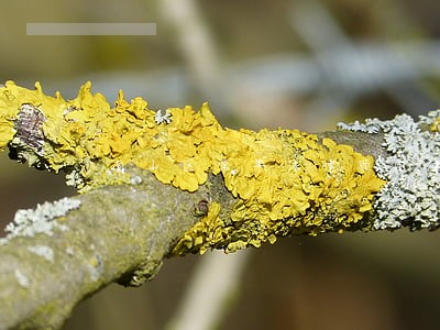 南山区常年法律顾问律师