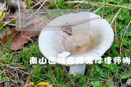 南山区找合同案件律师哪个好 南山区找合同案件律师哪个好