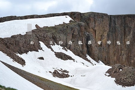 南山区经济犯罪律师电话 南山区经济犯罪律师电话