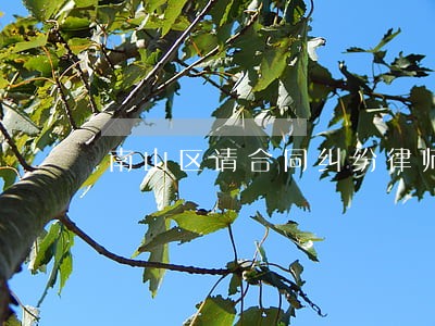南山区请合同纠纷律师多少钱 南山区请合同纠纷律师多少钱