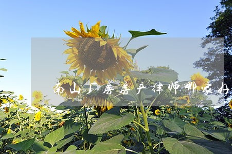 南山厂房房产律师哪家好 南山厂房房产律师哪家好