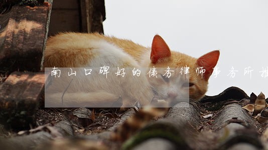 南山口碑好的债务律师事务所推荐 南山口碑好的债务律师事务所推荐