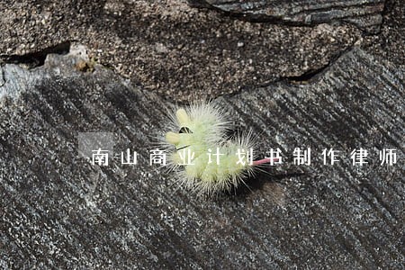 南山商业计划书制作律师 南山商业计划书制作律师