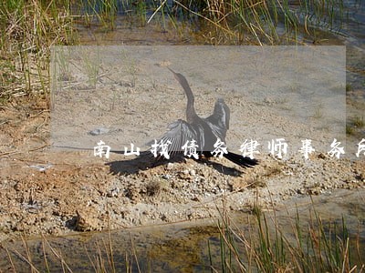 南山找债务律师事务所排名 南山找债务律师事务所排名