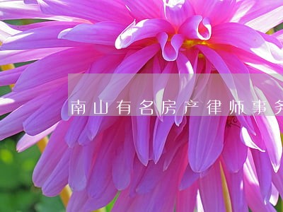 南山有名房产律师事务所 南山有名房产律师事务所