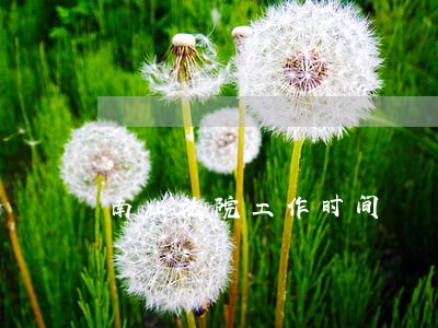 南山法院工作时间 南山法院工作时间