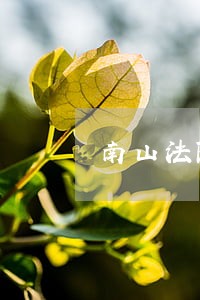 南山法院是的法务部 南山法院是的法务部
