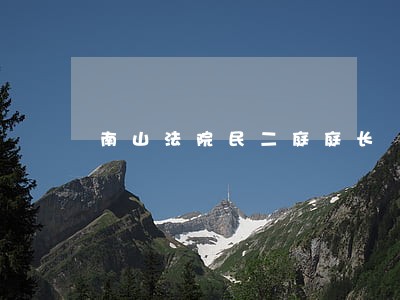 南山法院民二庭庭长