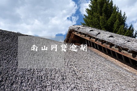 南山网贷逾期 南山网贷逾期