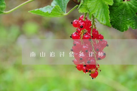 南山追讨债务律师 南山追讨债务律师
