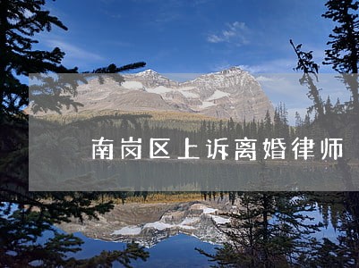 南岗区上诉离婚律师 南岗区上诉离婚律师