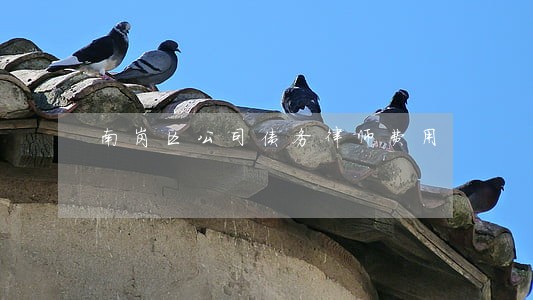 南岗区公司债务律师费用 南岗区公司债务律师费用