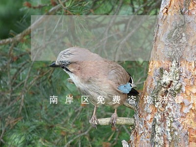 南岸区免费咨询法律顾问 南岸区免费咨询法律顾问
