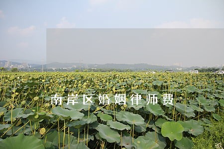 南岸区婚姻律师费 南岸区婚姻律师费