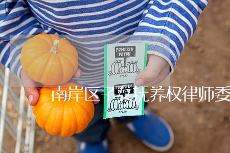 南岸区子女抚养权律师委托流程 南岸区子女抚养权律师委托流程