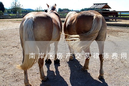 南岸区房产交易律师费用 南岸区房产交易律师费用
