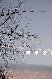 南岸婚姻家事律师哪里专业 南岸婚姻家事律师哪里专业