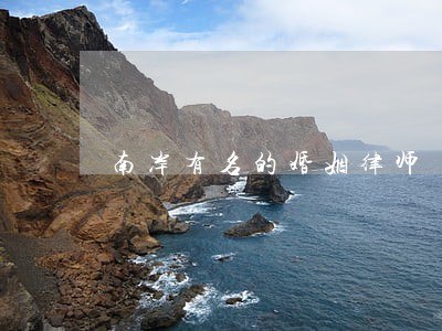 南岸有名的婚姻律师 南岸有名的婚姻律师