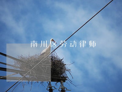 南川区劳动律师 南川区劳动律师