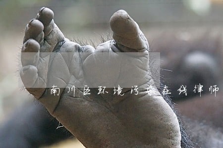 南川区环境污染在线律师 南川区环境污染在线律师
