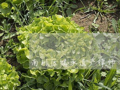南川区继承遗产律师 南川区继承遗产律师