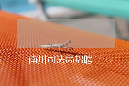 南川司法局招聘 南川司法局招聘