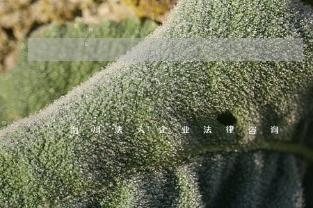 南川法人企业法律咨询 南川法人企业法律咨询