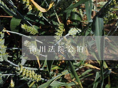 南川法院公拍 南川法院公拍