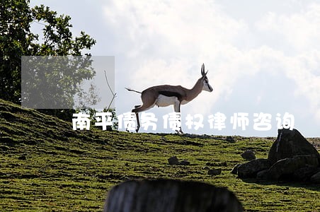 南平债务债权律师咨询