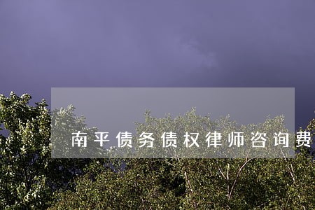 南平债务债权律师咨询费用 南平债务债权律师咨询费用