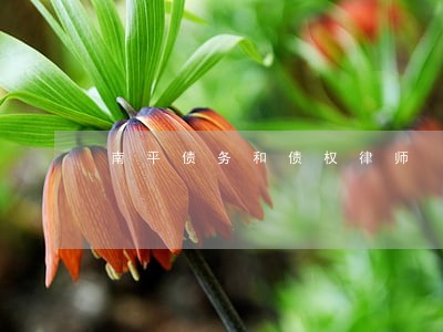 南平债务和债权律师