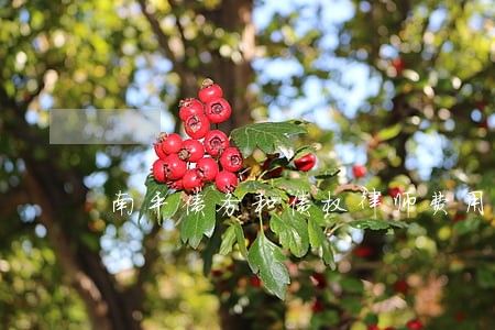 南平债务和债权律师费用收取标准 南平债务和债权律师费用收取标准