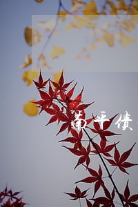 南平债务咨询律师怎么找 南平债务咨询律师怎么找