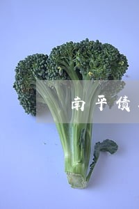 南平债务咨询律师收费标准 南平债务咨询律师收费标准
