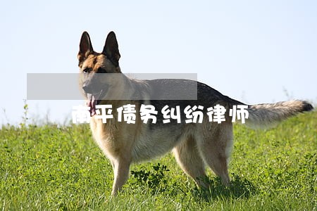 南平债务纠纷律师 南平债务纠纷律师