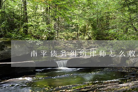 南平债务纠纷律师怎么收费 南平债务纠纷律师怎么收费