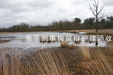 南平刑事拘留辩护律师收费 南平刑事拘留辩护律师收费