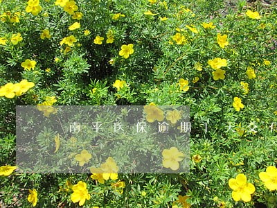 南平医保逾期1天交有没有影响 南平医保逾期1天交有没有影响