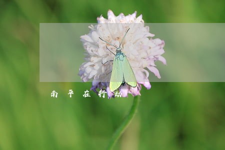 南平在行动 南平在行动