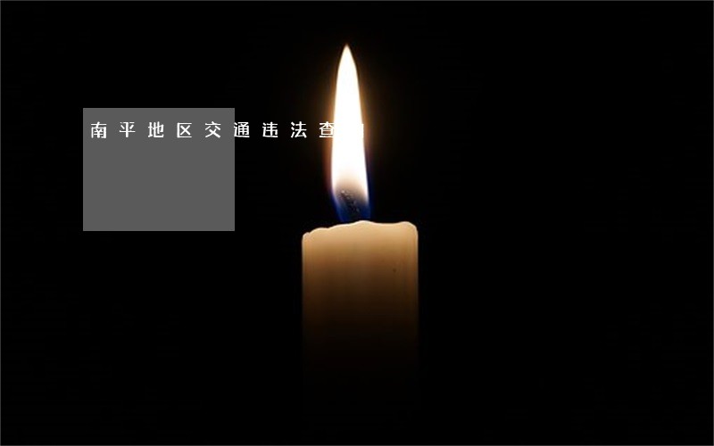 南平地区交通违法查询 南平地区交通违法查询